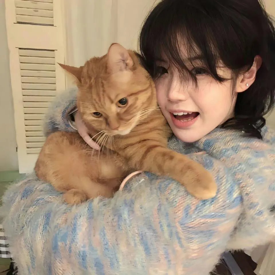 最爱喵星人：我猫威武